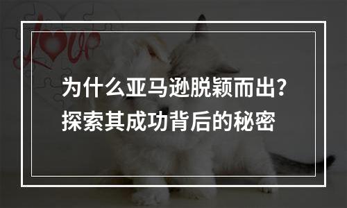 为什么亚马逊脱颖而出？探索其成功背后的秘密