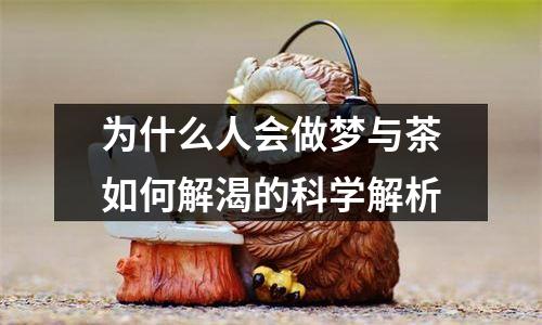 为什么人会做梦与茶如何解渴的科学解析