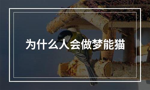 为什么人会做梦能猫