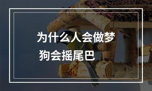 为什么人会做梦 狗会摇尾巴