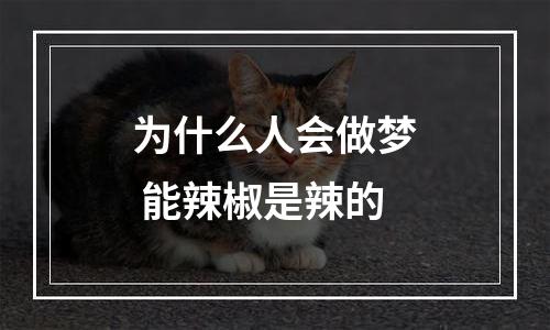 为什么人会做梦 能辣椒是辣的