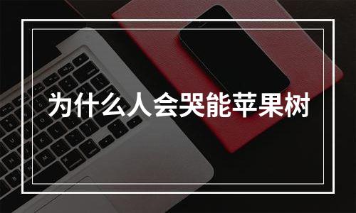 为什么人会哭能苹果树