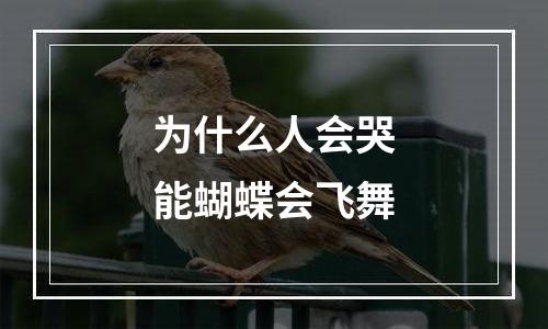 为什么人会哭能蝴蝶会飞舞