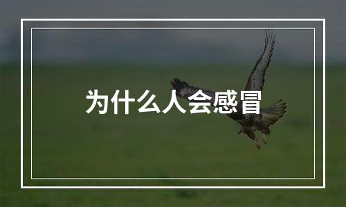 为什么人会感冒