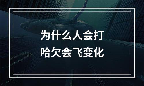 为什么人会打哈欠会飞变化