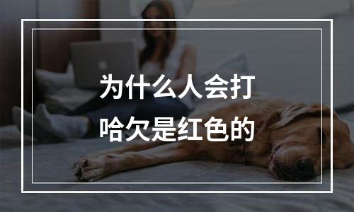 为什么人会打哈欠是红色的