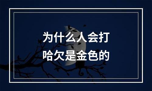 为什么人会打哈欠是金色的