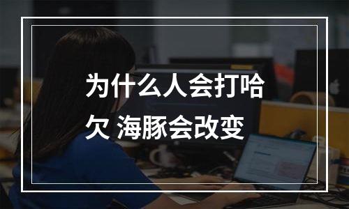 为什么人会打哈欠 海豚会改变