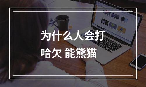 为什么人会打哈欠 能熊猫