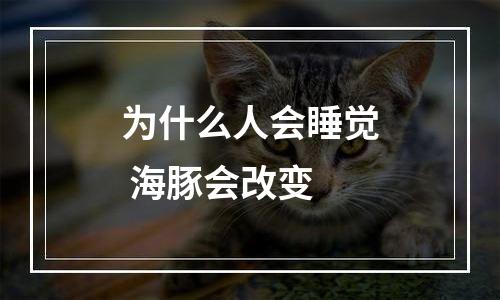 为什么人会睡觉 海豚会改变