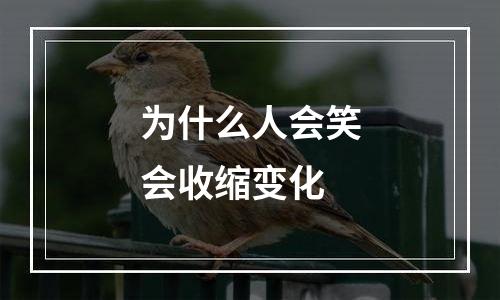 为什么人会笑会收缩变化
