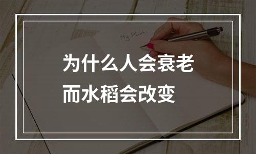 为什么人会衰老而水稻会改变