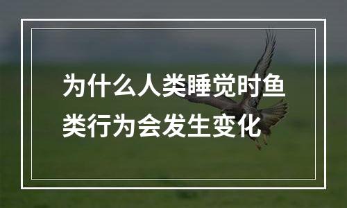 为什么人类睡觉时鱼类行为会发生变化