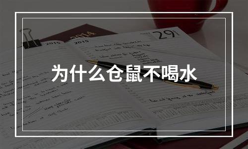 为什么仓鼠不喝水