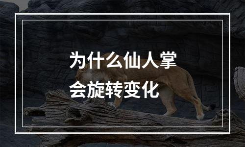 为什么仙人掌会旋转变化