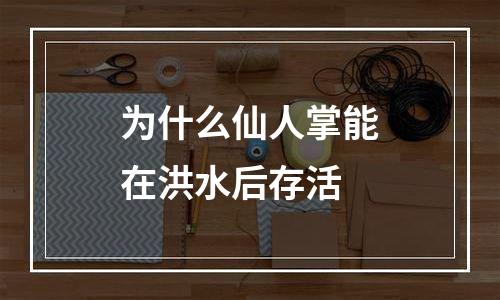 为什么仙人掌能在洪水后存活