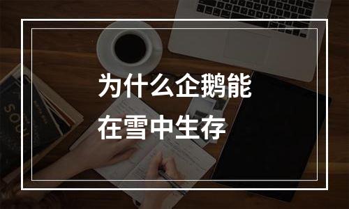 为什么企鹅能在雪中生存