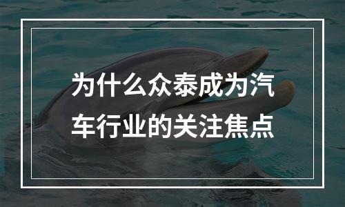为什么众泰成为汽车行业的关注焦点