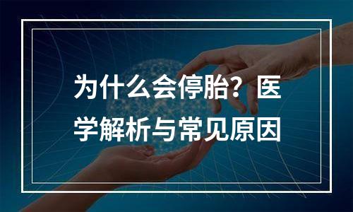 为什么会停胎？医学解析与常见原因