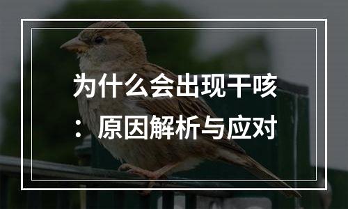 为什么会出现干咳：原因解析与应对