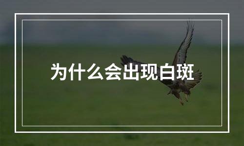 为什么会出现白斑