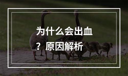 为什么会出血？原因解析