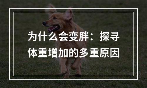 为什么会变胖：探寻体重增加的多重原因