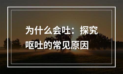 为什么会吐：探究呕吐的常见原因
