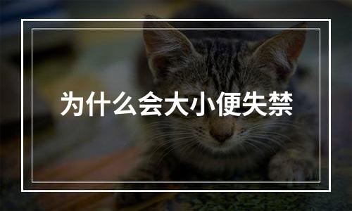 为什么会大小便失禁