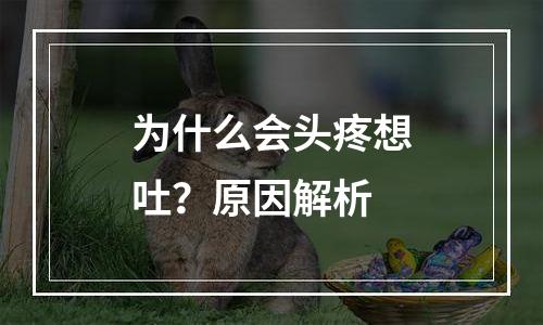 为什么会头疼想吐？原因解析