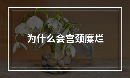 为什么会宫颈糜烂