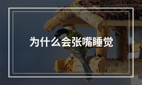 为什么会张嘴睡觉