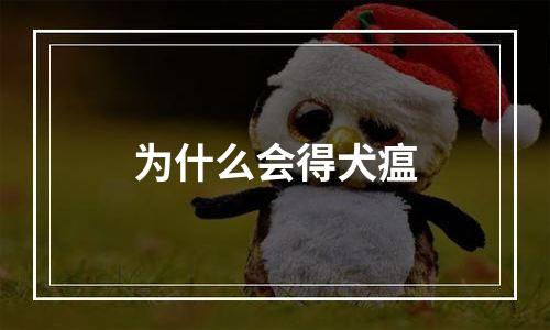 为什么会得犬瘟