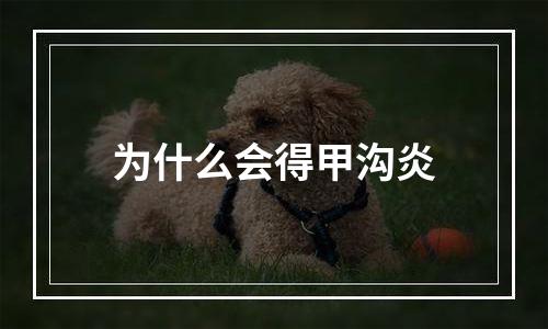 为什么会得甲沟炎