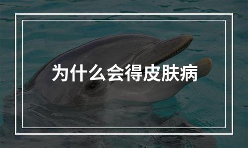 为什么会得皮肤病