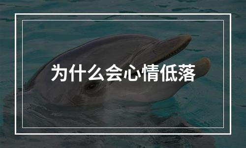 为什么会心情低落