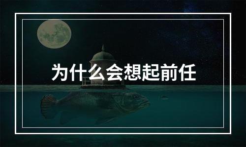 为什么会想起前任