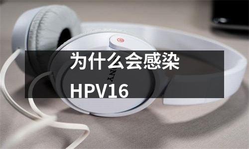 为什么会感染HPV16