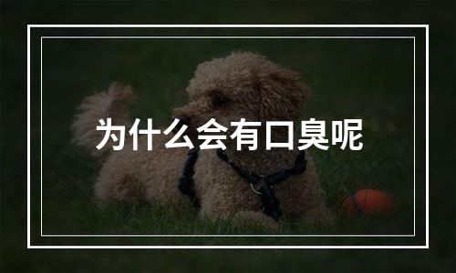 为什么会有口臭呢