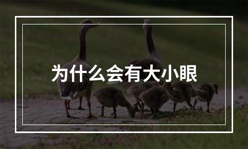 为什么会有大小眼