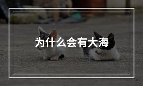 为什么会有大海