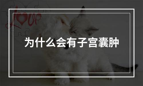 为什么会有子宫囊肿