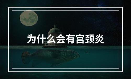 为什么会有宫颈炎