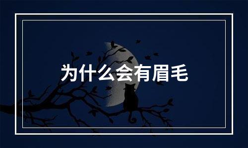 为什么会有眉毛