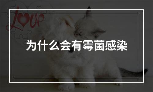 为什么会有霉菌感染