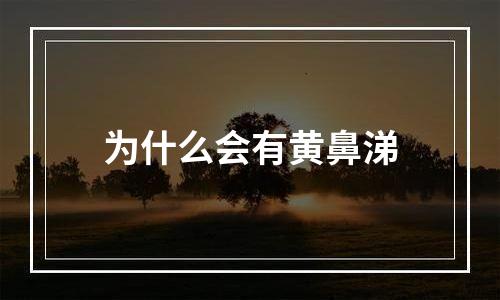 为什么会有黄鼻涕