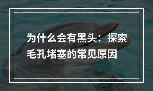为什么会有黑头：探索毛孔堵塞的常见原因