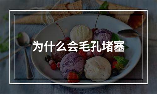 为什么会毛孔堵塞