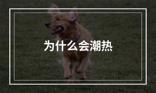 为什么会潮热
