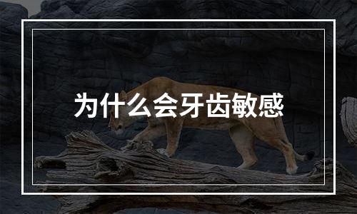 为什么会牙齿敏感